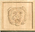 Square Lion Face Detail