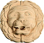 Lion Face Detail